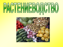Справочник растеневода